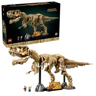 Fosile de dinozaur: Tyrannosaurus Rex - 76968