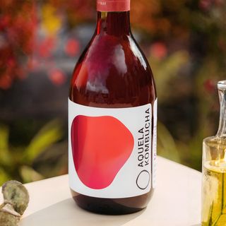 Kombucha Morango & Hibisco