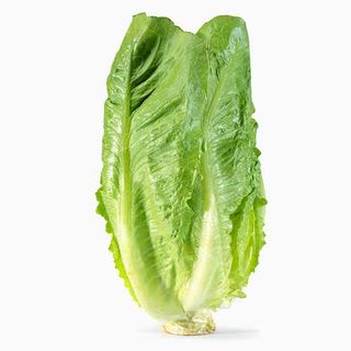 Lechuga Romana