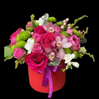 Strong color box