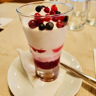 CUPA IAURT SI FRUCTE DE PADURE 100G 