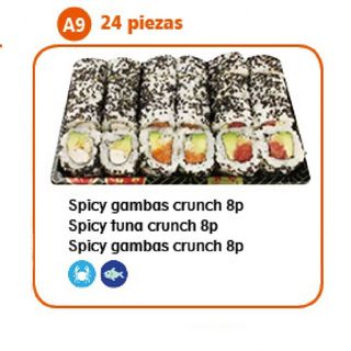 A9. Bandeja (24 Pzs.)