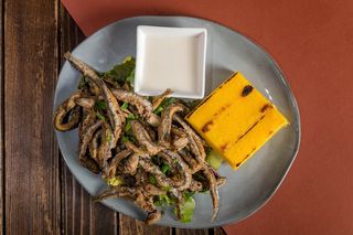 Dor de Costinesti - Hamsii