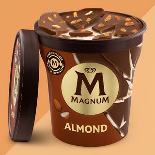 MAGNUM Barattolo Cioccolato al latte e Mandorle 440ml