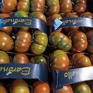 Pomodoro pachino sicilia