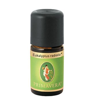 Eukaliptus radiata 5 ml org.