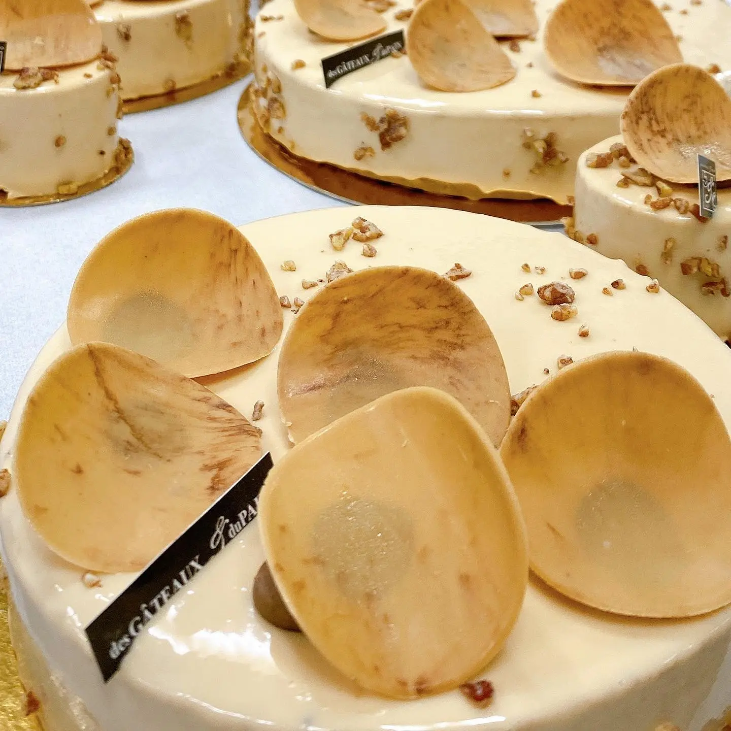 Petits Gâteaux