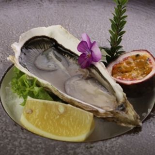 303. Ostriche 1 pezzo