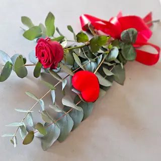 1 ROSA 