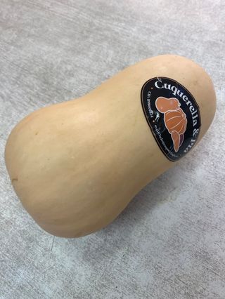 Calabaza 1,500 aprox