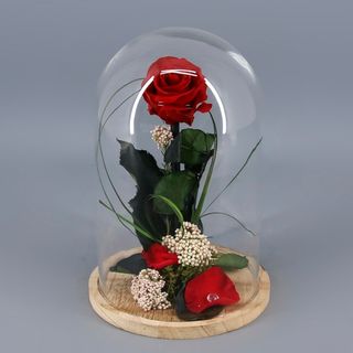 CUPULA ROSA ETERNA ROJA