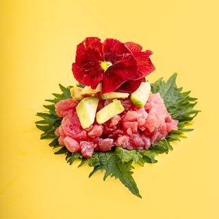 Tartare tonno