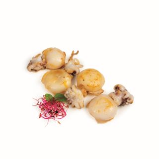 220 Seppioline alla griglia