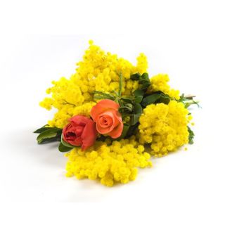 Mimose con rose 