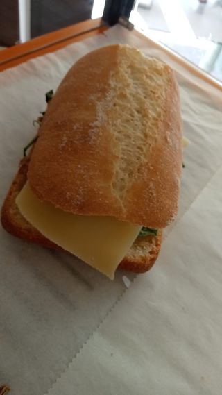 Panino