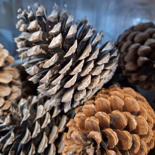 Piña Natural Unidad