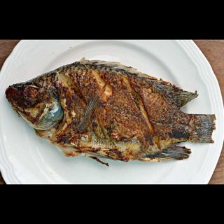 WHOLE TILAPIA