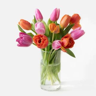 10 Tulipanes mixtos