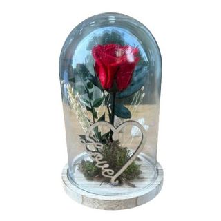 Cúpula Rosa Eterna Roja (20 Cm.)