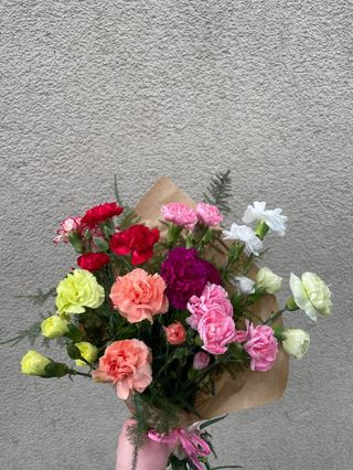 Goździk drobnokwiatowy 