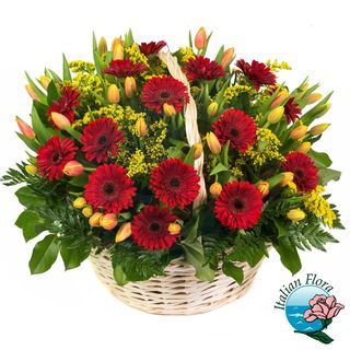 Composizione in cesto di gerber e tulipani