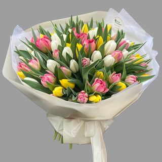 Bukiet tulipanów 75 sztuk 