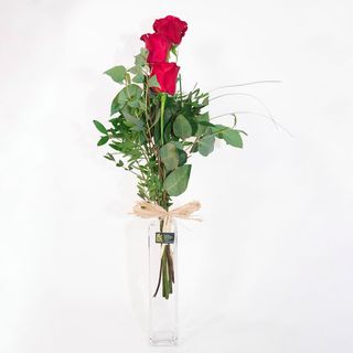 Tres Roses Vermelles