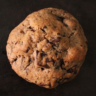 Chocolate Chip