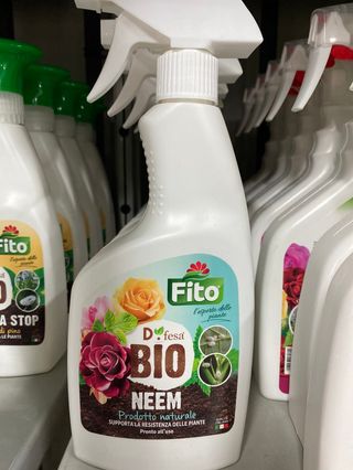 Olio di neem bio