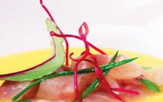 014 Carpaccio mekajiki