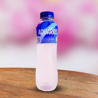 Aquarius - Limón (500Ml)