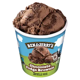 Chocolate Fudge Brownie 465ml