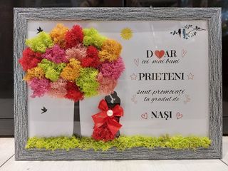 Tablou Doar cei mai buni prieteni - Mesaj standard