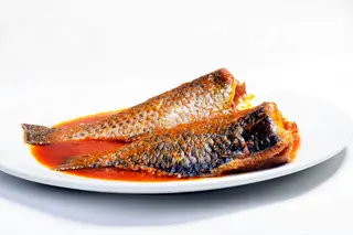Tilapia Fish