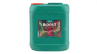 CANNABOOST Accelerator 10 ლ