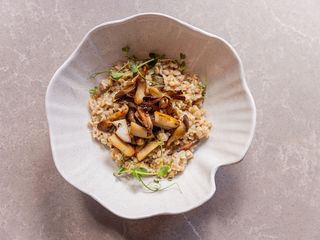 Вівсянка з грибами (210g)