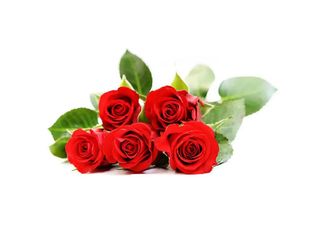 5 Рози, червени | 1 pieces