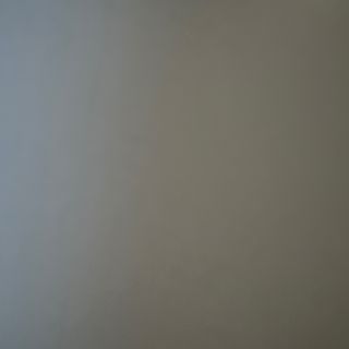 Viena Pollo Completa con Mayonesa 