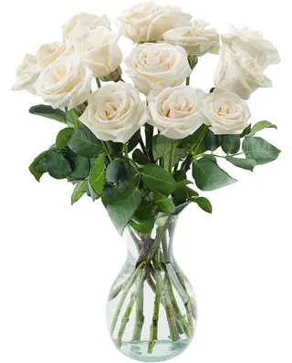 Docena Rosas Blancas