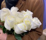 თეთრი ფოლანდიური ვარდი 10 ტოტი 