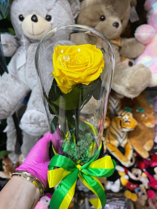 Crio Yellow Rose