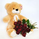 Misca (60 cm) cu 11 trandafiri rosii