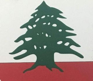 Plato del día (Yavaliye)