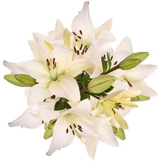 Ramo Lilium Blanco