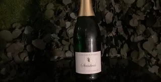 Steinbock-alcohol Free Sparkling - D.r. Fischer