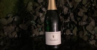 Steinbock-alcohol Free Sparkling - D.r. Fischer