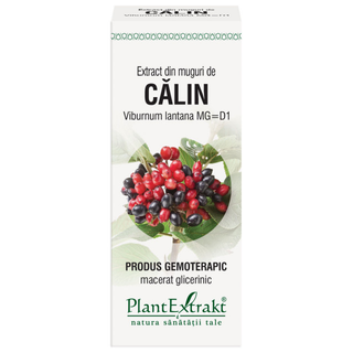 Extract din muguri de Calin 50 ml