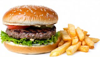 Hamburger de Vita 350g