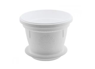 Саксия, бяла, Ф25