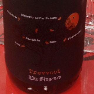 Vino rosso (Trevvoci di sipio) bottiglia 75cl
